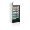 Tefcold FSC890S