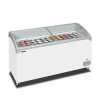 Tefcold NIC500SCEB