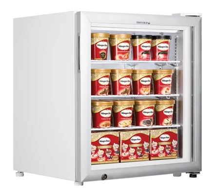 Tefcold UF100G