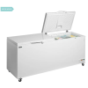 Tefcold CF701SL